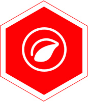 優(yōu)勢(shì)四